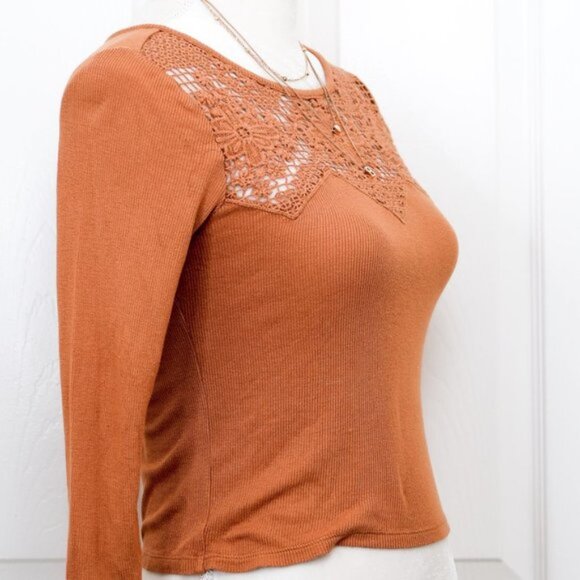 American Eagle Outfitters Embroidered Crochet Brown Crop Top - Picture 5 of 9